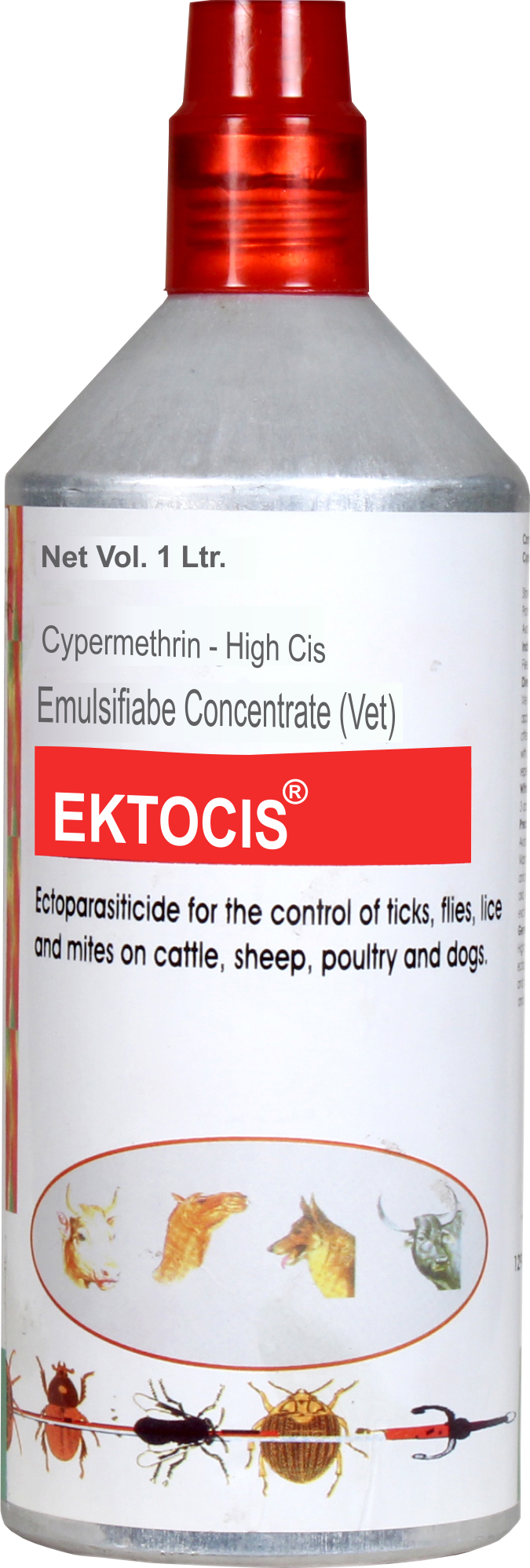 EKTOCIS