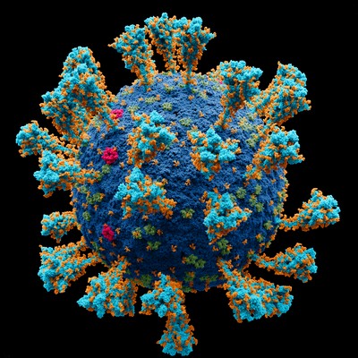 Virus